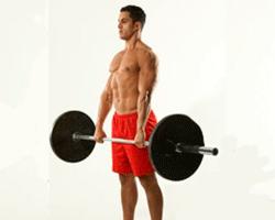 Какие мышцы задействуются при выполнении становой тяги На какие мышцы влияет становая тяга