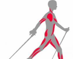 Скандинавская ходьба с палками: техника ходьбы для похудения, отзывы